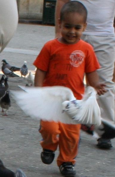 niño con paloma blanca
